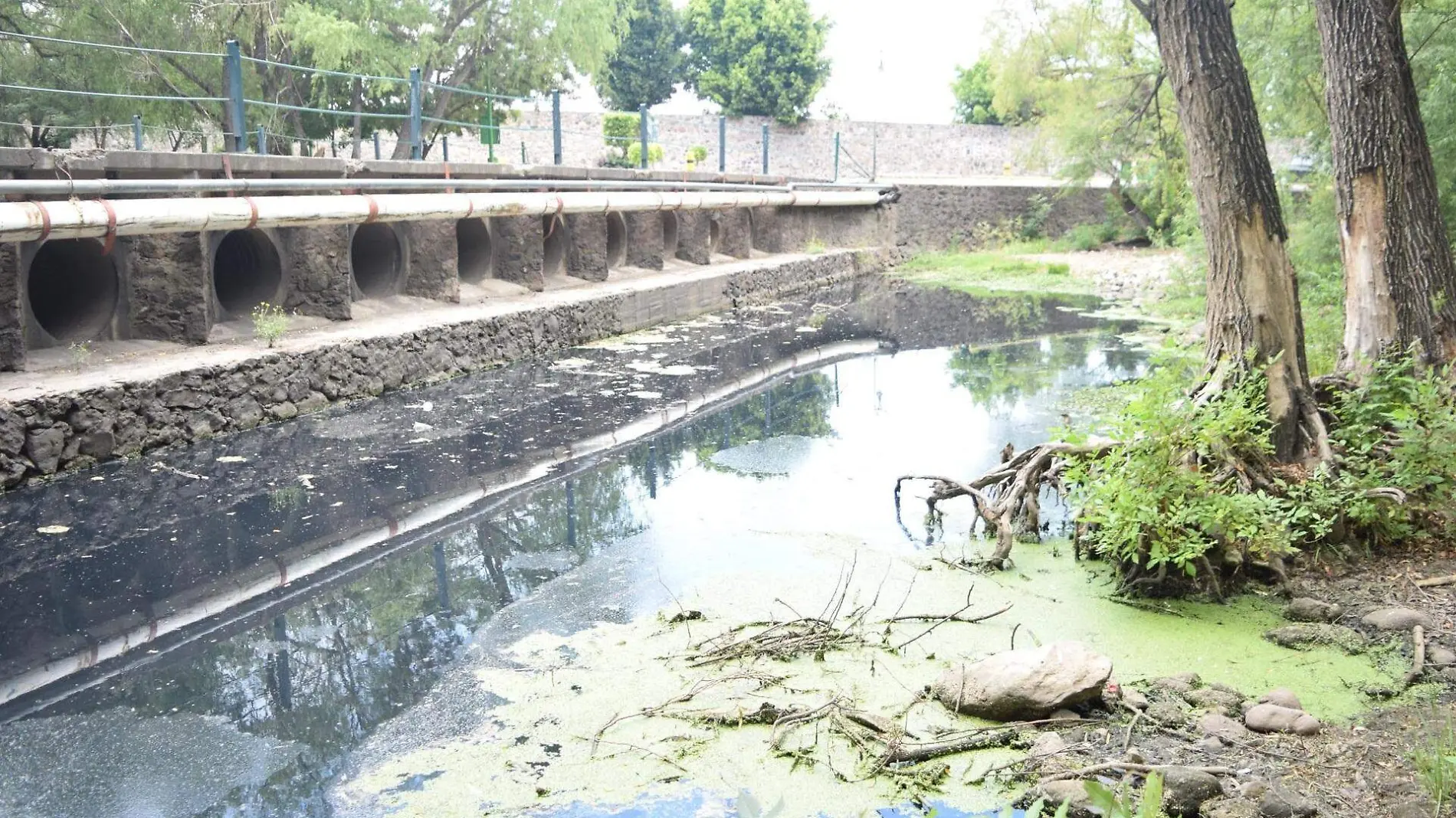 El presidente del Concejo lamentó que Vega Guerrero no haya acudido a exponer su agenda ambiental.